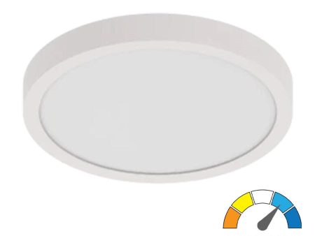 SUMO XL 12 In. LED Surface Mount Light 120V  Selectable CCT White Finish Fashion