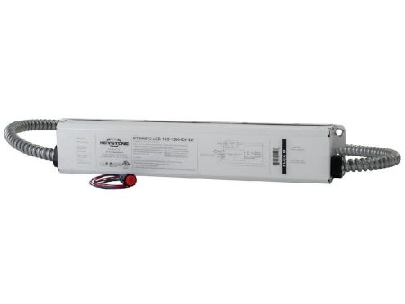 LED Emergency Drivers, 12 Watts, 20-60V DC Output, 1200 lumens, Internal Battery, Dual Flex Supply