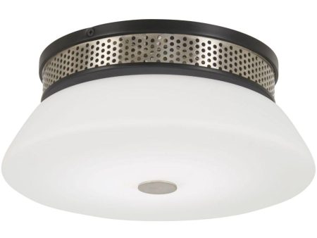 Tauten 12 in. LED Flush Mount Light Brushed Nickel & Black Finish Online Hot Sale