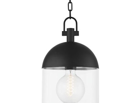 ZEPHYR 10 in. Outdoor Pendant Light Textured Black finish Supply