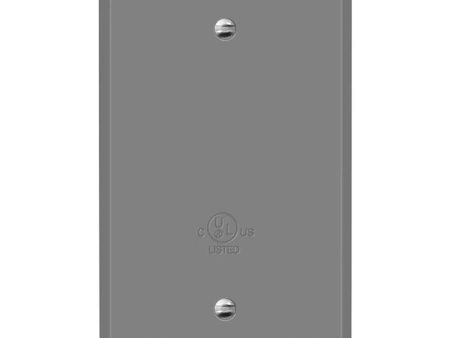 1-Gang Weatherproof Metallic Blank Wall Plate Gray Online Hot Sale